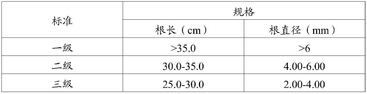 Traditional Chinese medicinal material seedling raising coating treatment agent and application method and application thereof