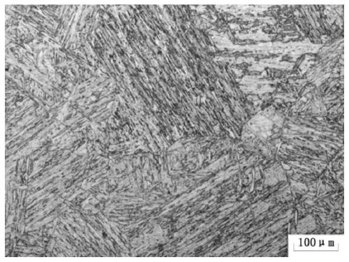 A method for grain refinement of martensitic heat-resistant steel large-diameter thick-walled tube