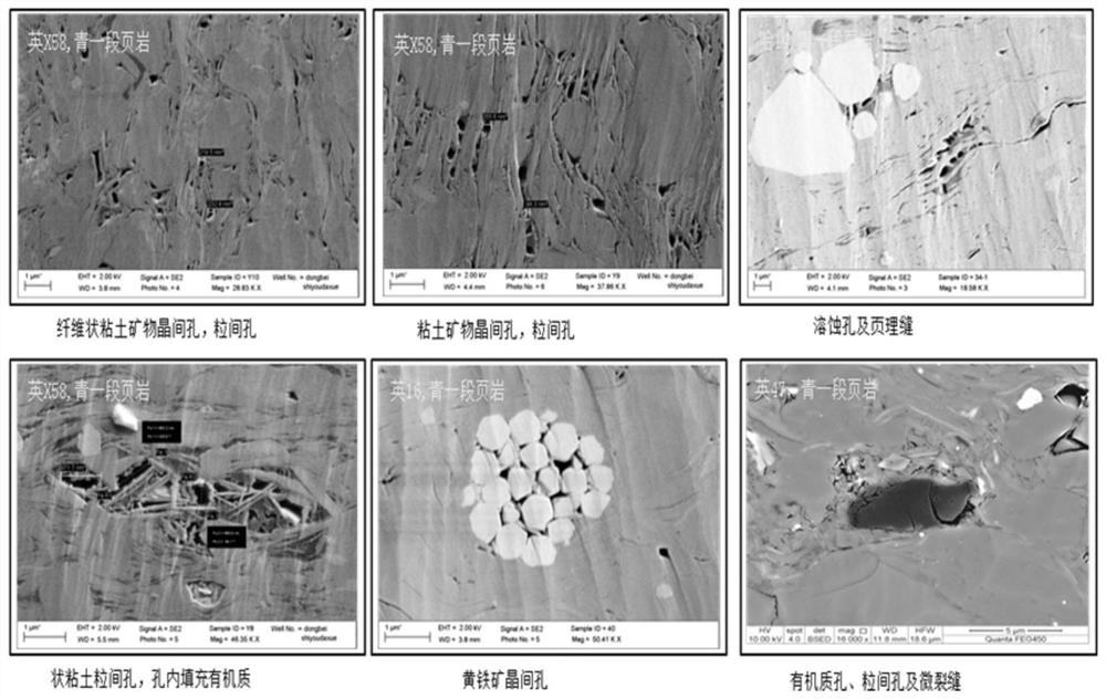 Formation and enrichment evaluation method for continental facies mud shale oil in large freshwater lake basin