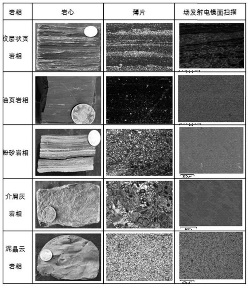 Formation and enrichment evaluation method for continental facies mud shale oil in large freshwater lake basin