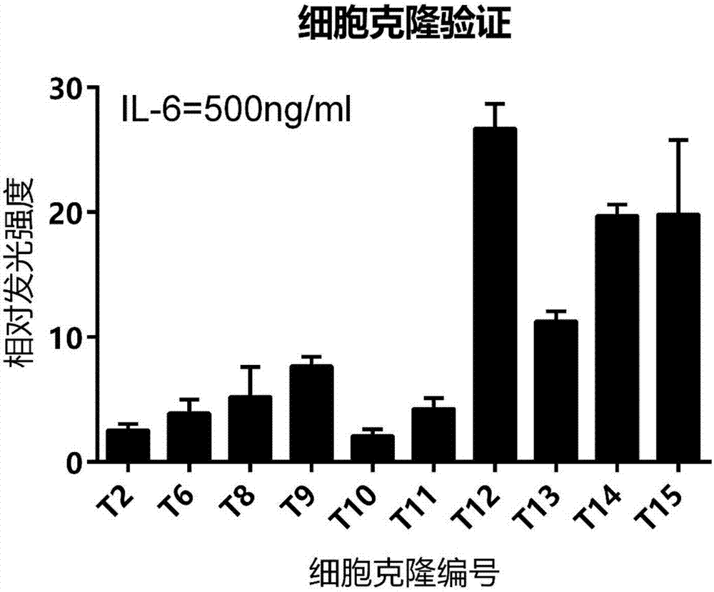 Monoclonal cell strain and application of monoclonal cell strain for measuring relative biological activity of IL-6R inhibitors