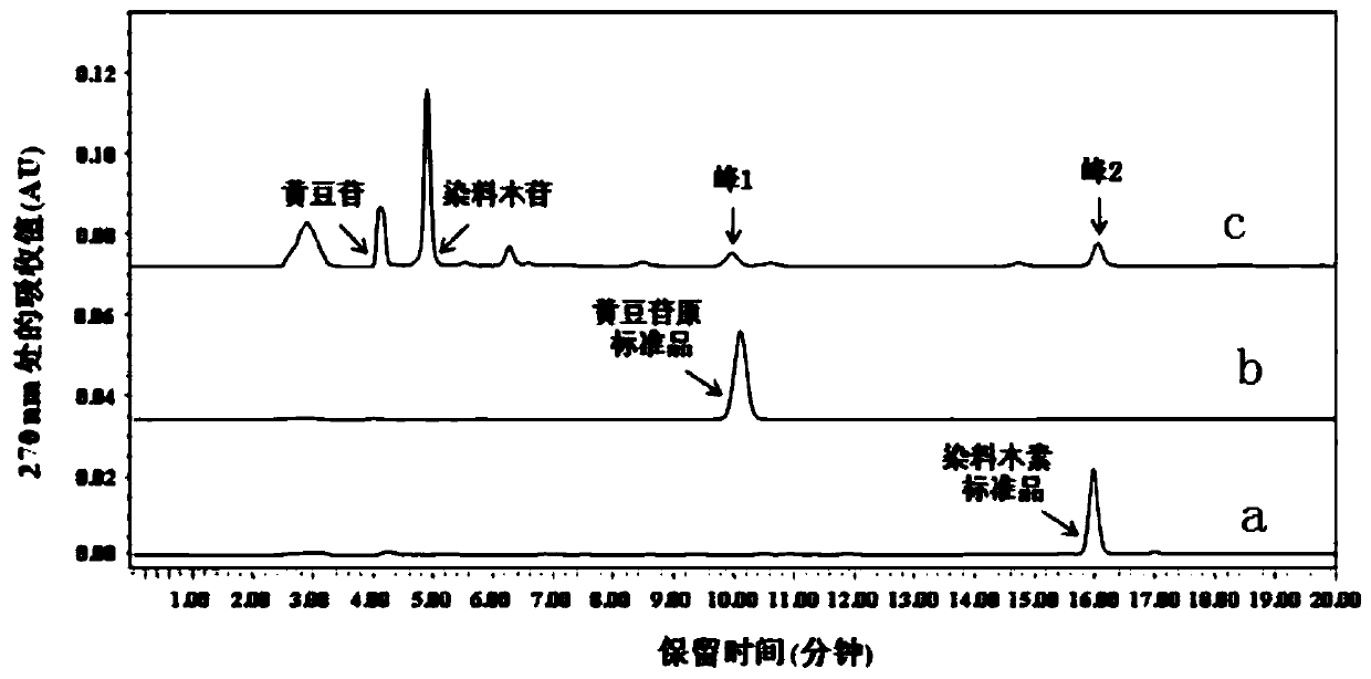 Lactobacillus acidophilus, method for fermenting soybean milk by using lactobacillus acidophilus, prepared fermented soybean milk and application thereof