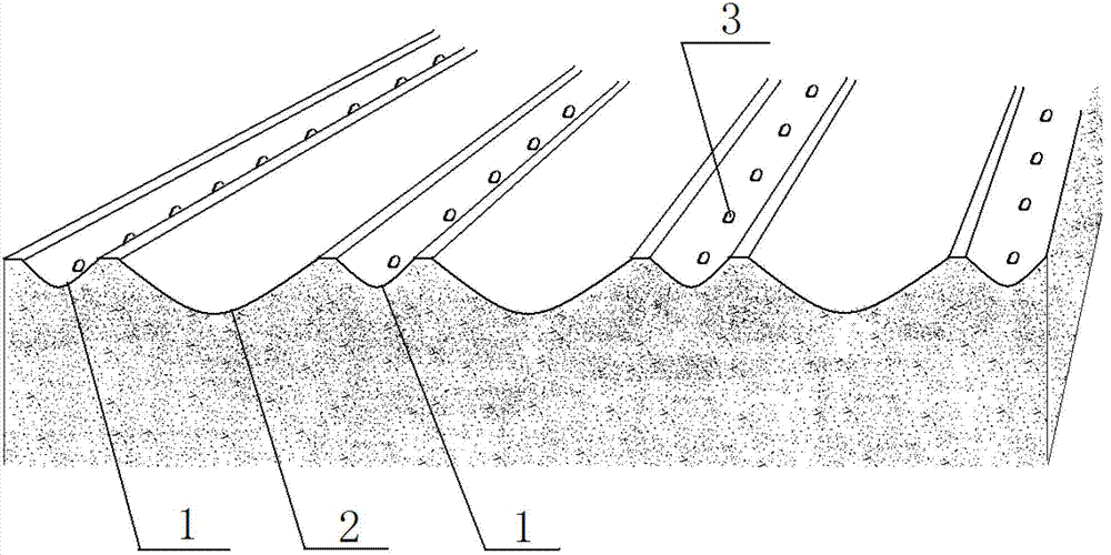 Wave-shaped covering flow collection cultivation technical mode of wide-width water-seepage mulching film