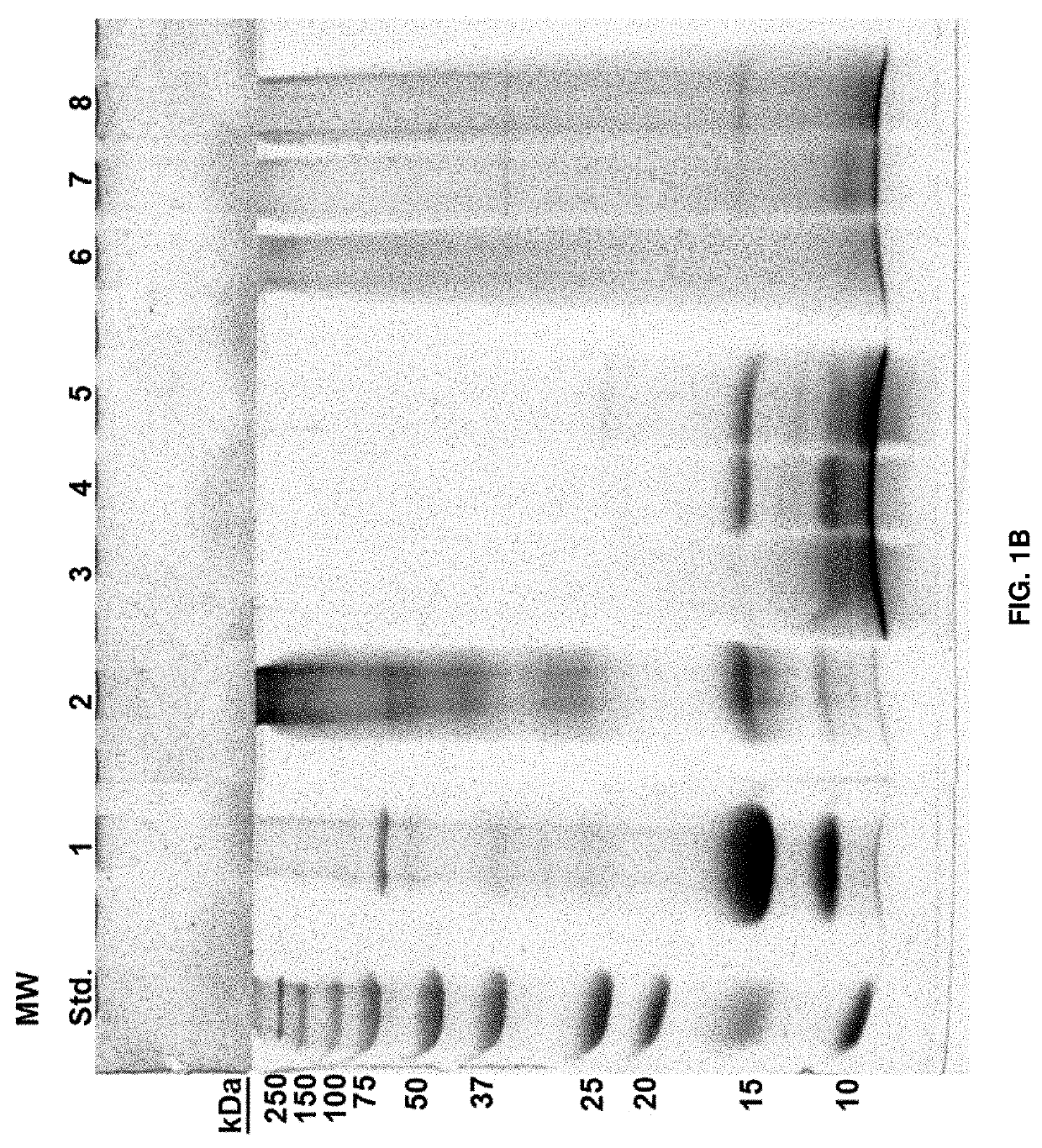 Methods of processing protein and resulting products