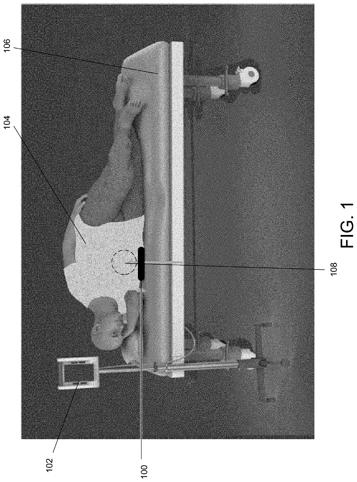 Systems and methods for non-invasive fat composition measurement in an organ