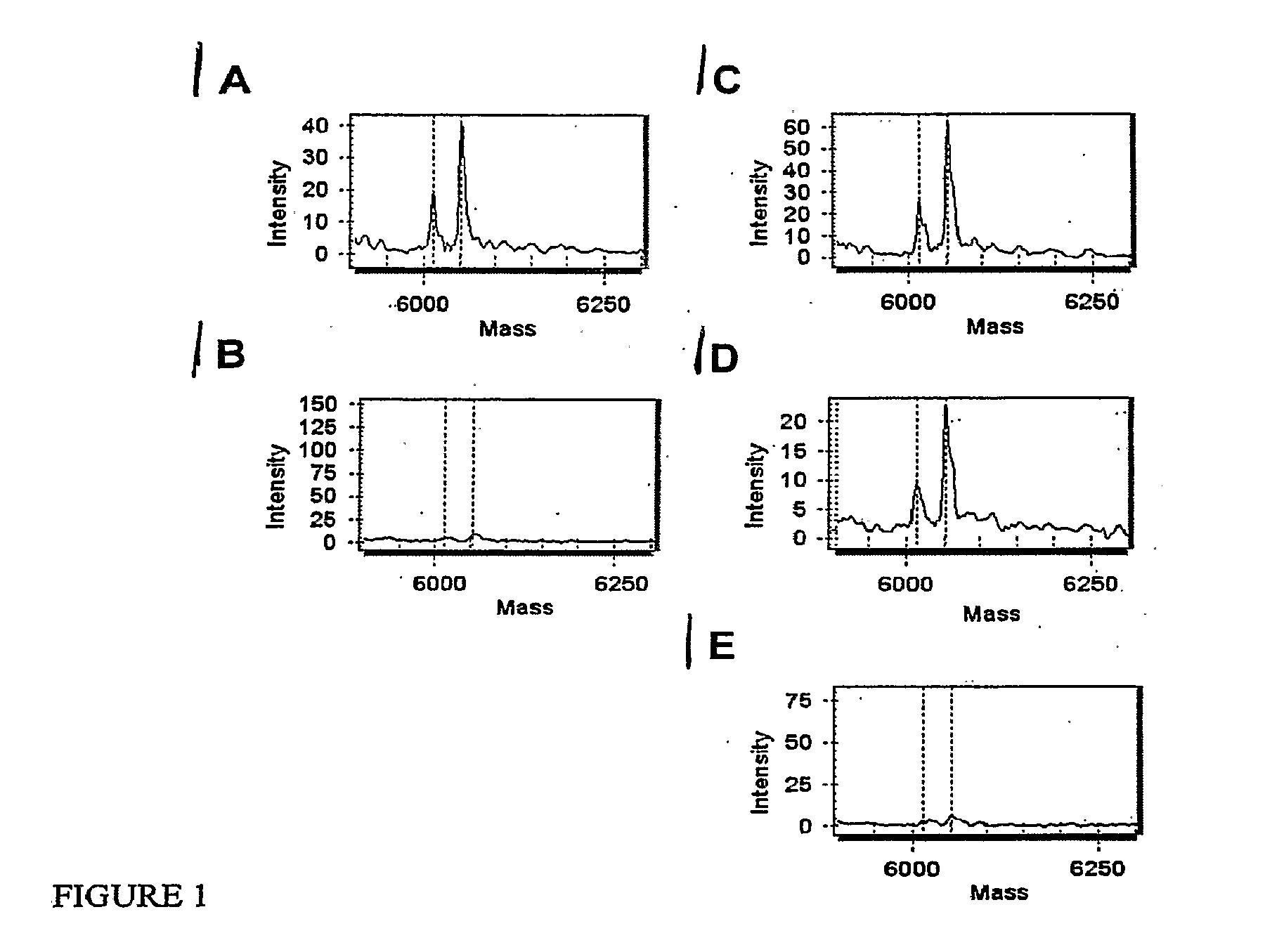 Method for detecting and quantifying rare mutations/polymorphisms