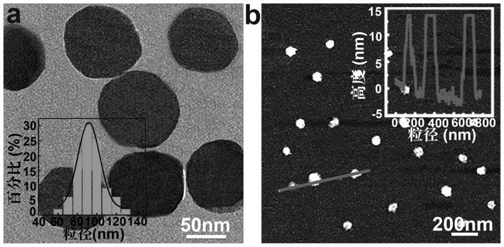 Nano-probe for diagnosis and treatment based on copper phthalocyanine molecule and its preparation and application