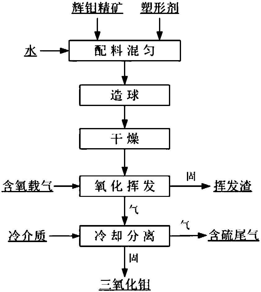 Method for preparing high purity molybdenum trioxide by one-step roasting of molybdenite concentrate