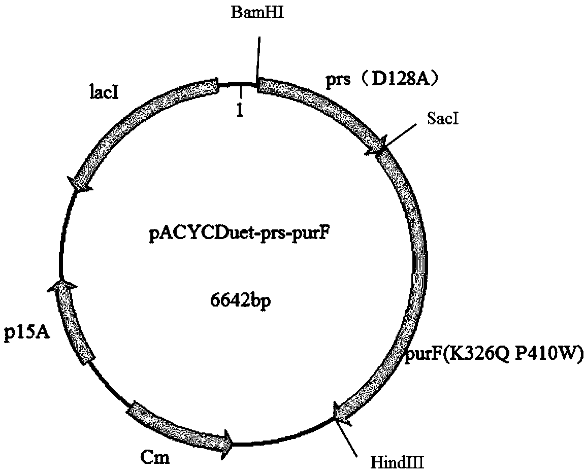 Recombinant strain for synthesizing hypoxanthine and construction method and application of recombinant strain