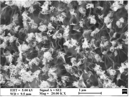 A kind of preparation method of molybdenum-doped flake cobalt diselenide/graphene composite electrode material