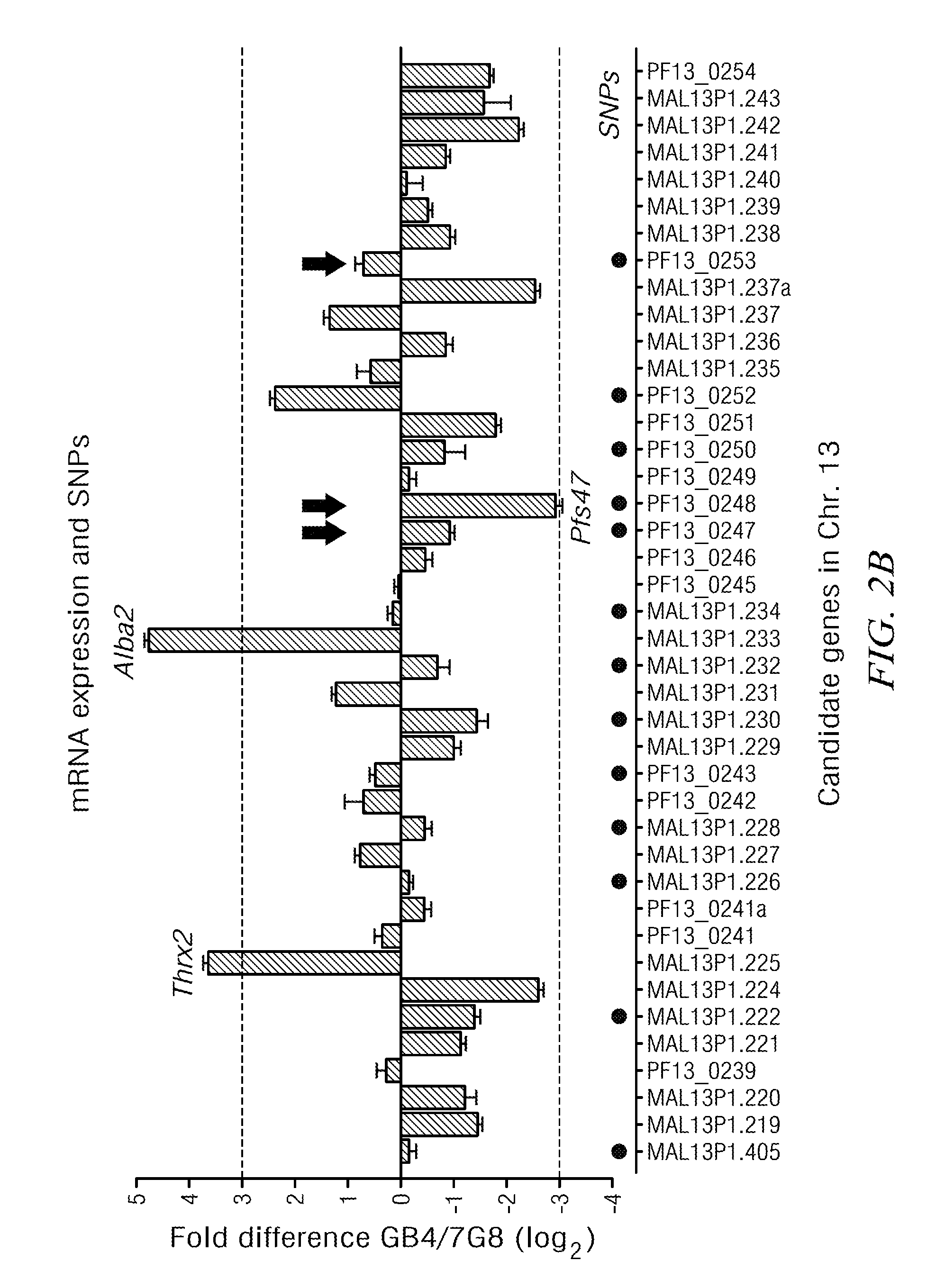 Use of p47 from plasmodium falciparum (PFS47) or plasmodium vivax (PVS47) as a vaccine or drug screening targets for the inhibition of human malaria transmission