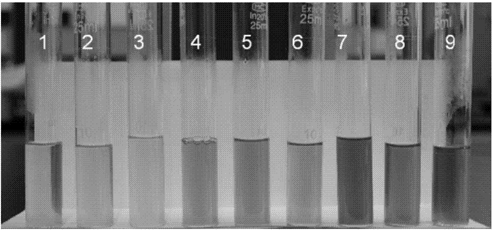 Method of producing instant Zijuan (camellia sinensis var. asssamica) tea