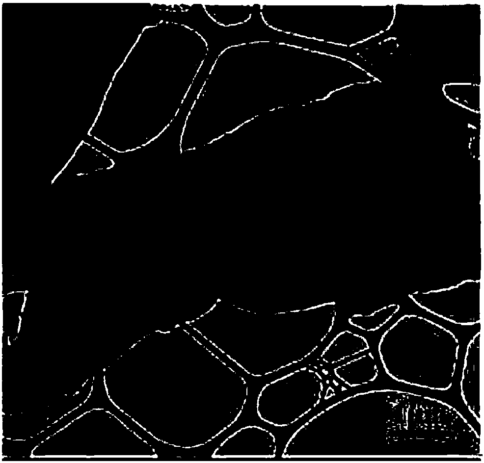 Modified polyvinylalcohol graphene, preparation method and application thereof