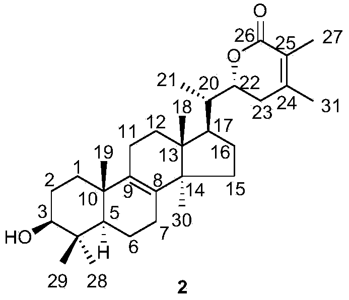 Triterpenoid compounds and application thereof in diabetes treatment drugs
