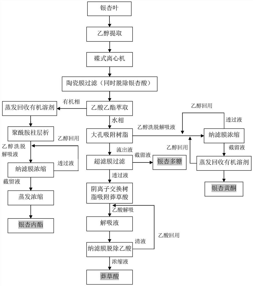 Production process for simultaneously producing ginkgolide, ginkgo flavone, ginkgo polysaccharide and shikimic acid