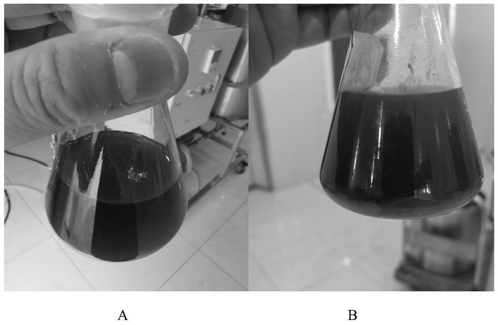 Production process for simultaneously producing ginkgolide, ginkgo flavone, ginkgo polysaccharide and shikimic acid