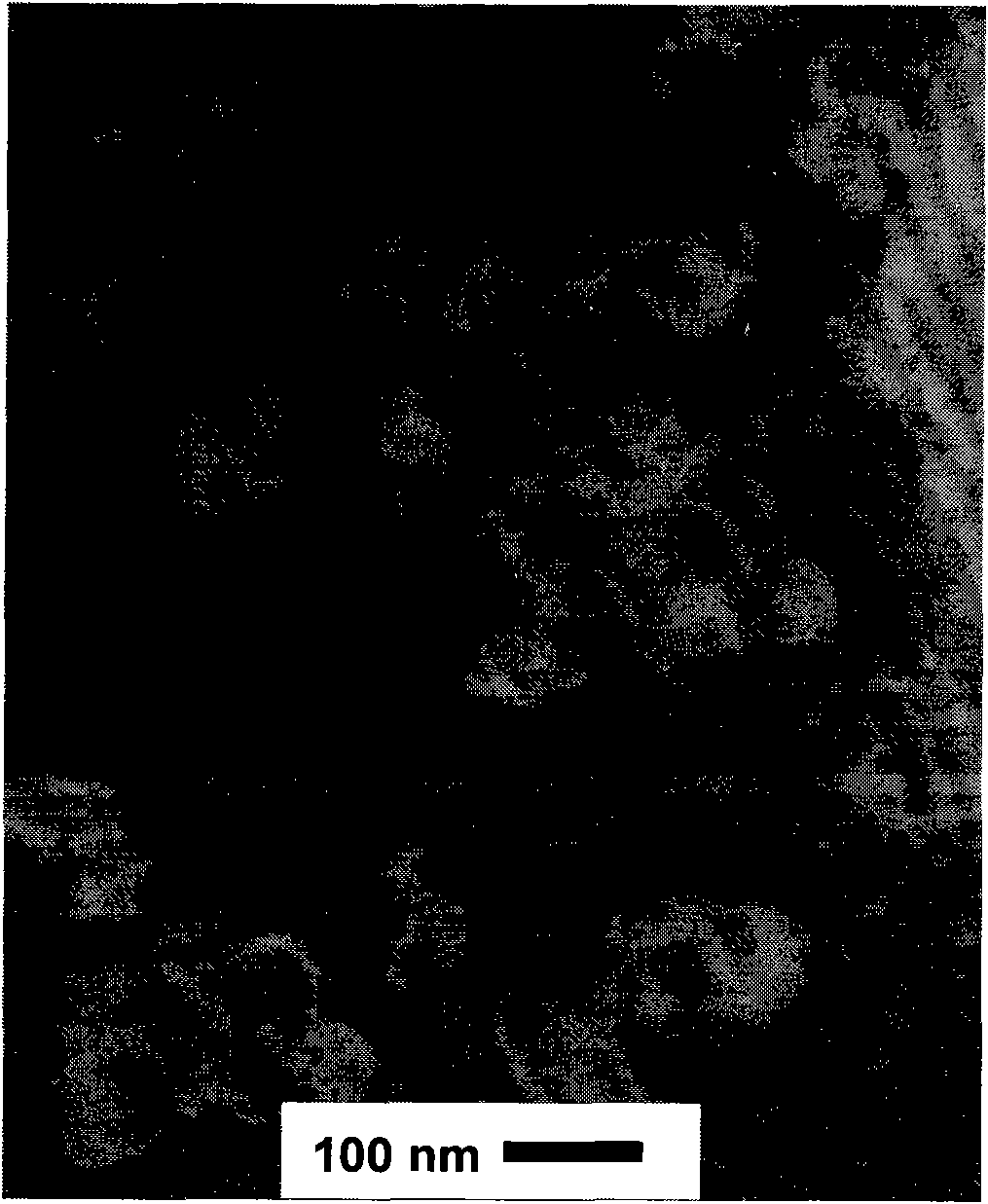 Isoniazid lipid derivate and compositions thereof