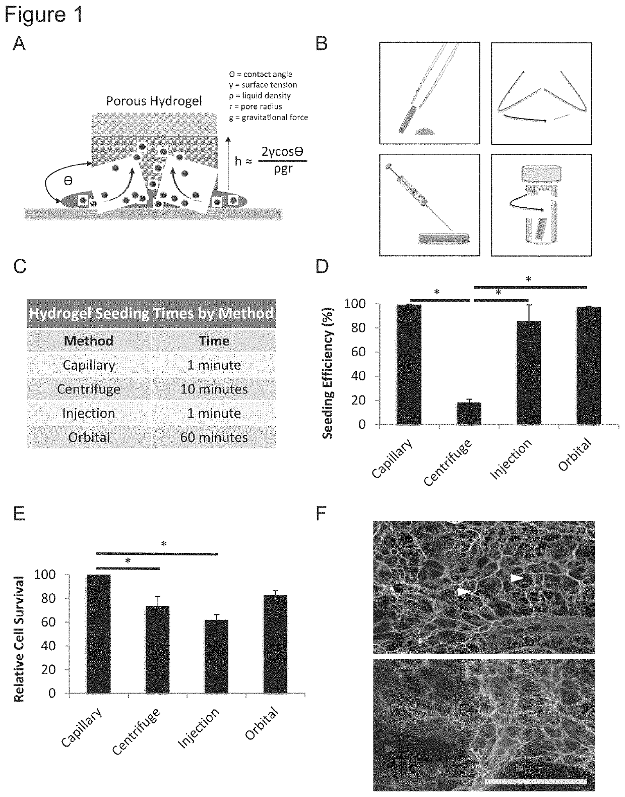 Efficient stem cell delivery into biomaterials using capillary driven encapsulation