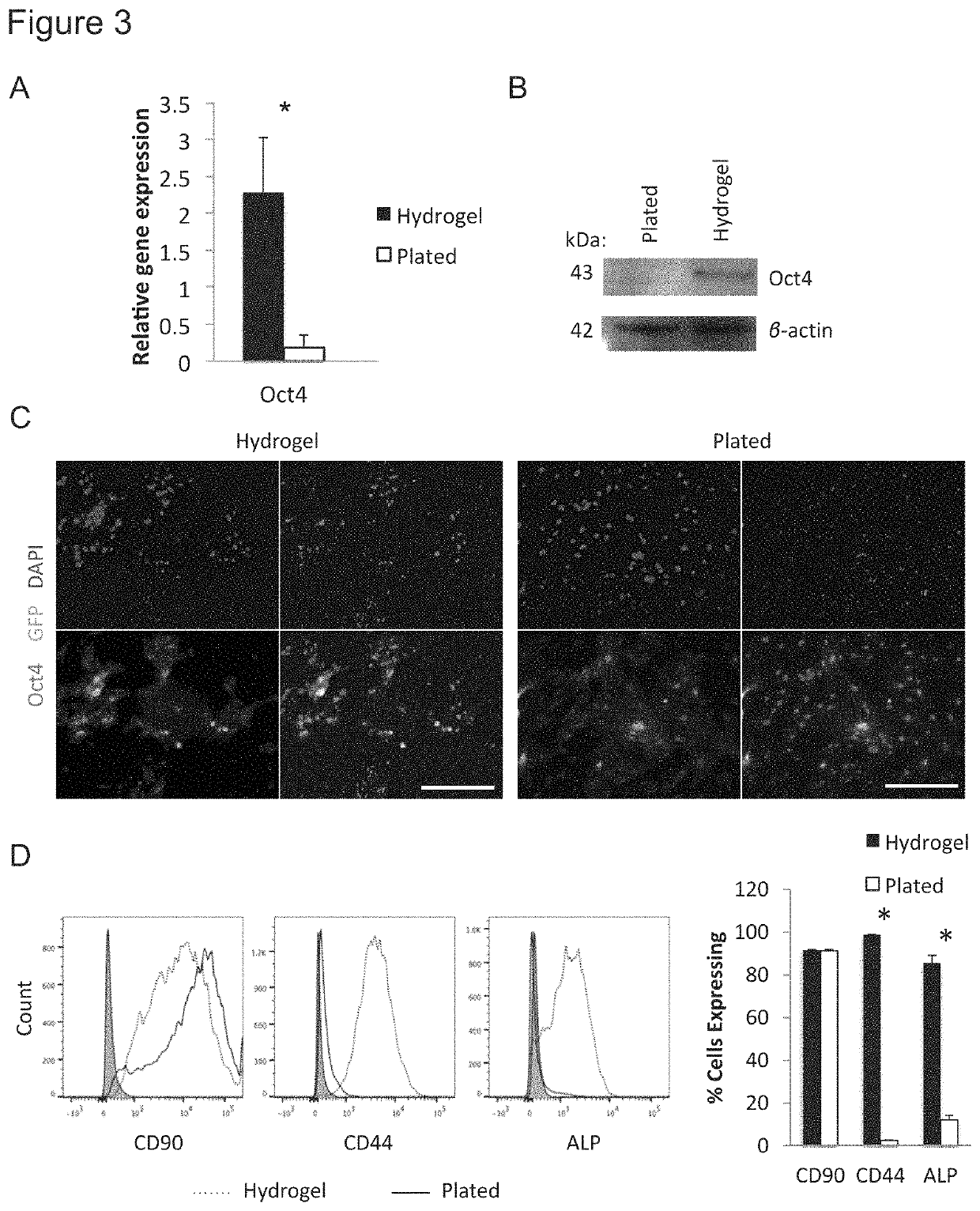 Efficient stem cell delivery into biomaterials using capillary driven encapsulation