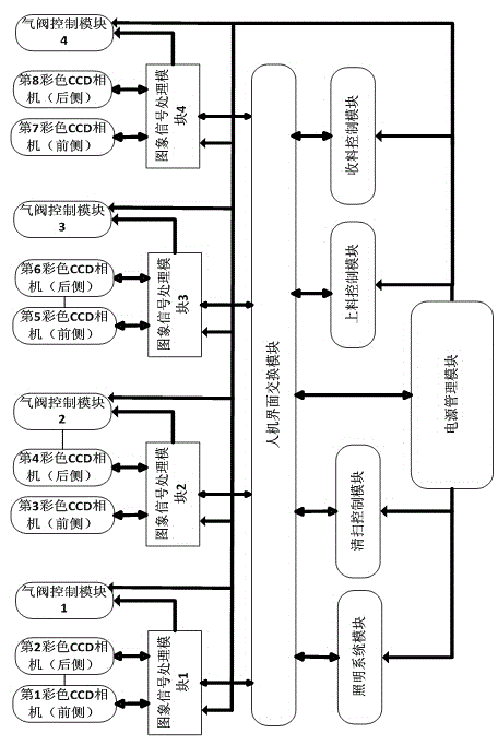 Colored double-CCD (Charge Coupled Device) color-sorting system for delinting cotton seeds and implementation method