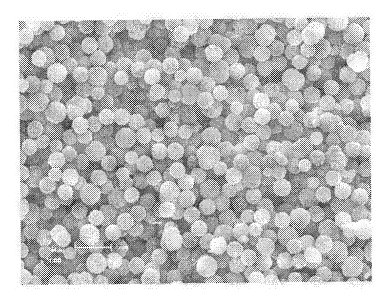 Molecularly imprinted polymeric microsphere resin applicable to aqueous solution system and preparing method thereof
