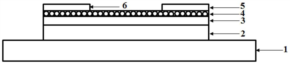 A kind of thin film field effect transistor type gas sensor and its preparation method