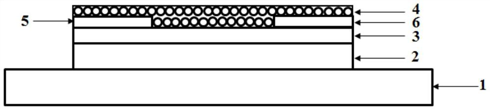 A kind of thin film field effect transistor type gas sensor and its preparation method