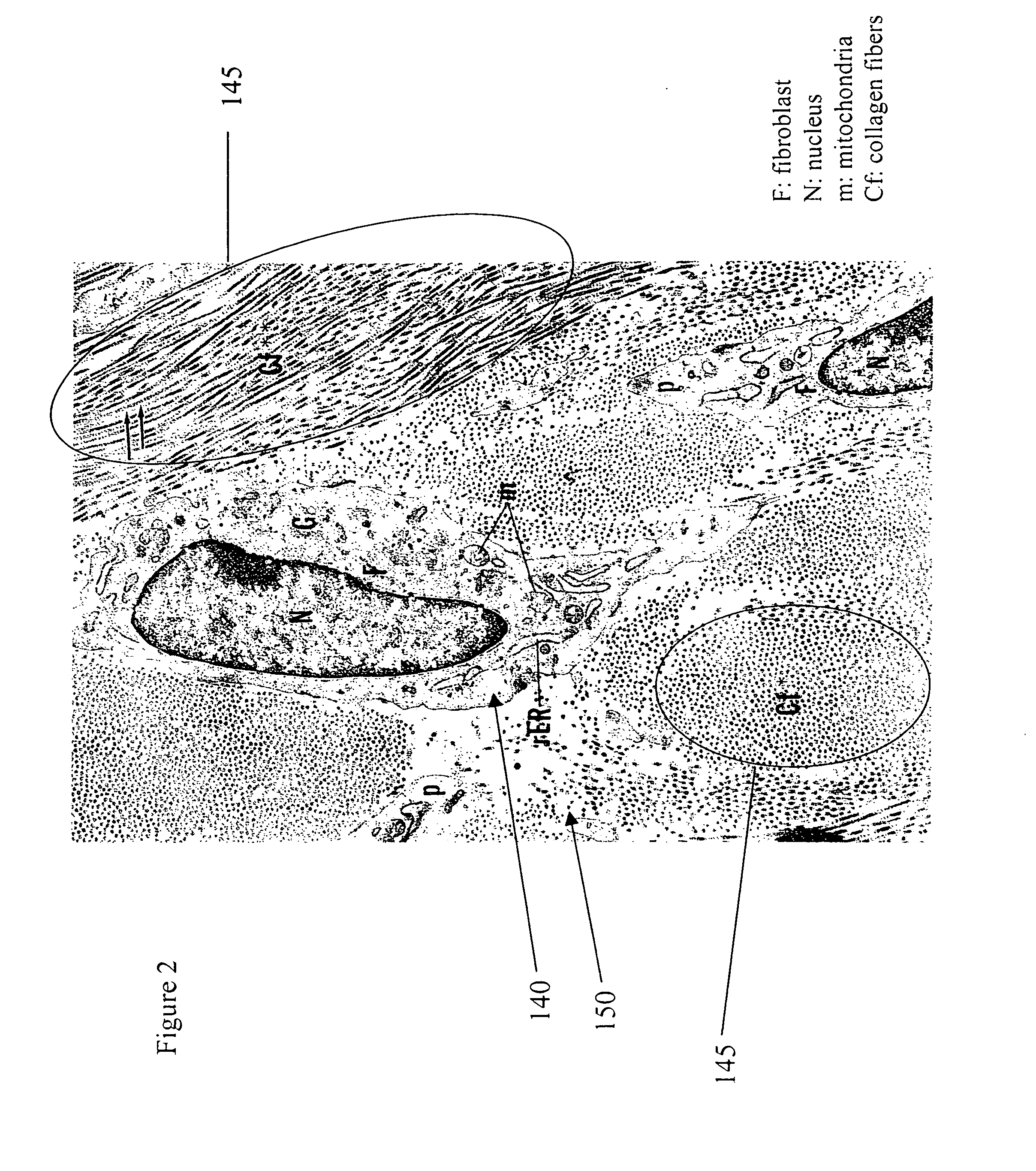 Device for optically stimulating collagen formation in tissue