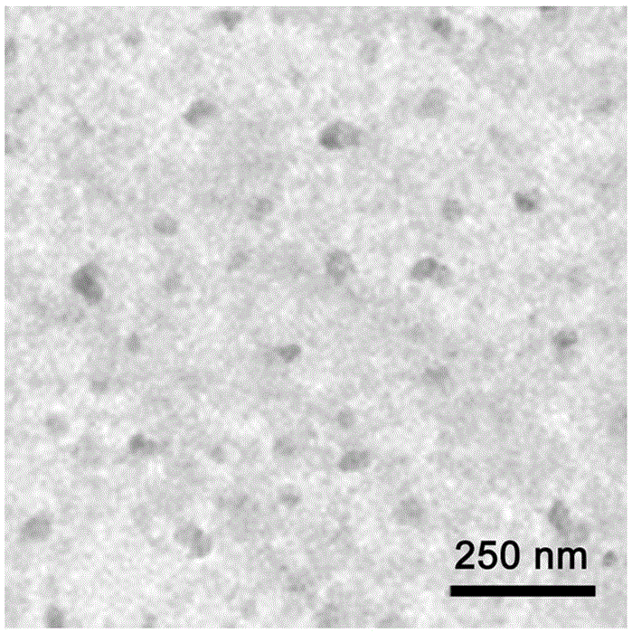 Polyparaphenylene vinylene conjugated polymer fluorescent nanoparticles with controllable emission wavelength and preparation method