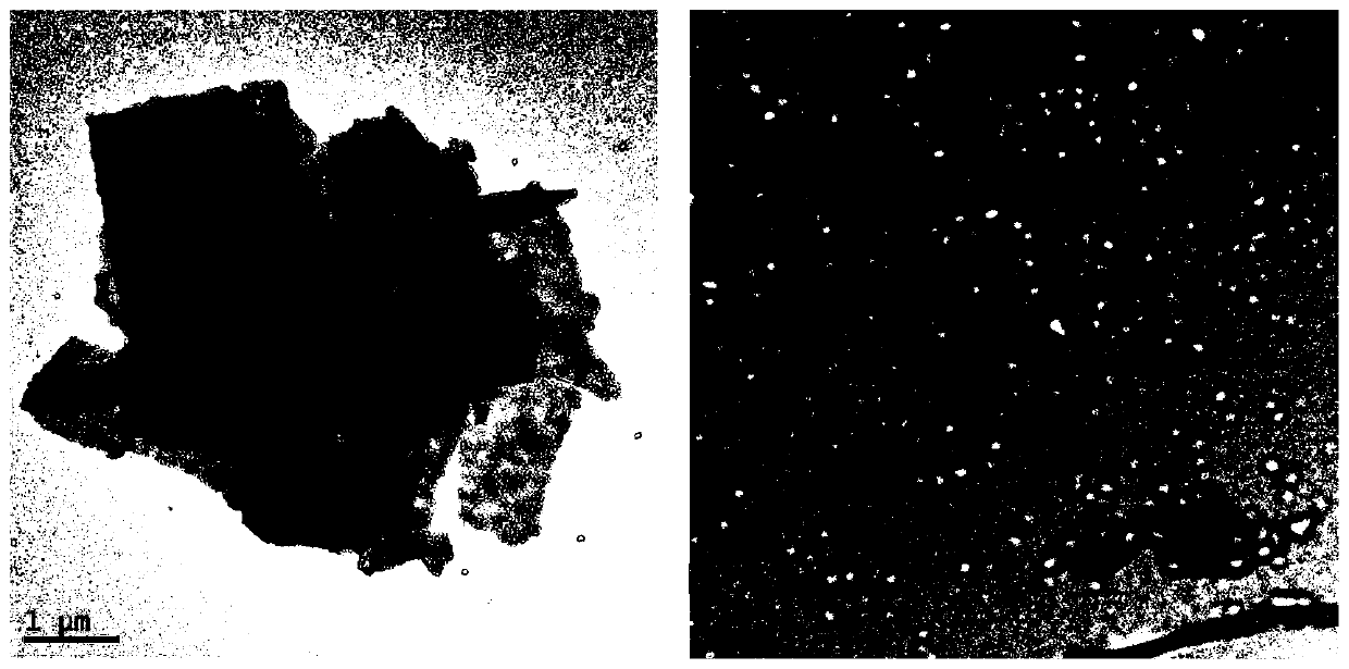 Preparation method and application of a tumor-targeted photothermal therapy nanocarrier