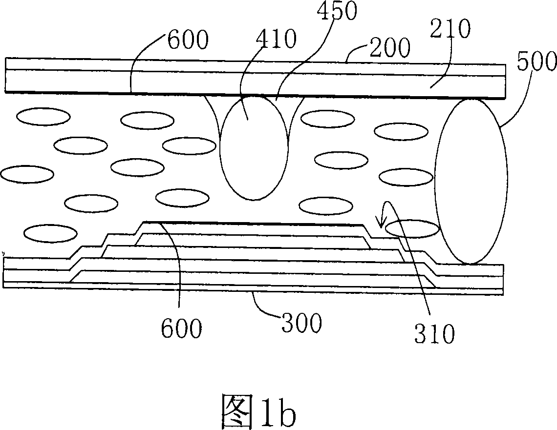 Display device induction structure and producing method thereof