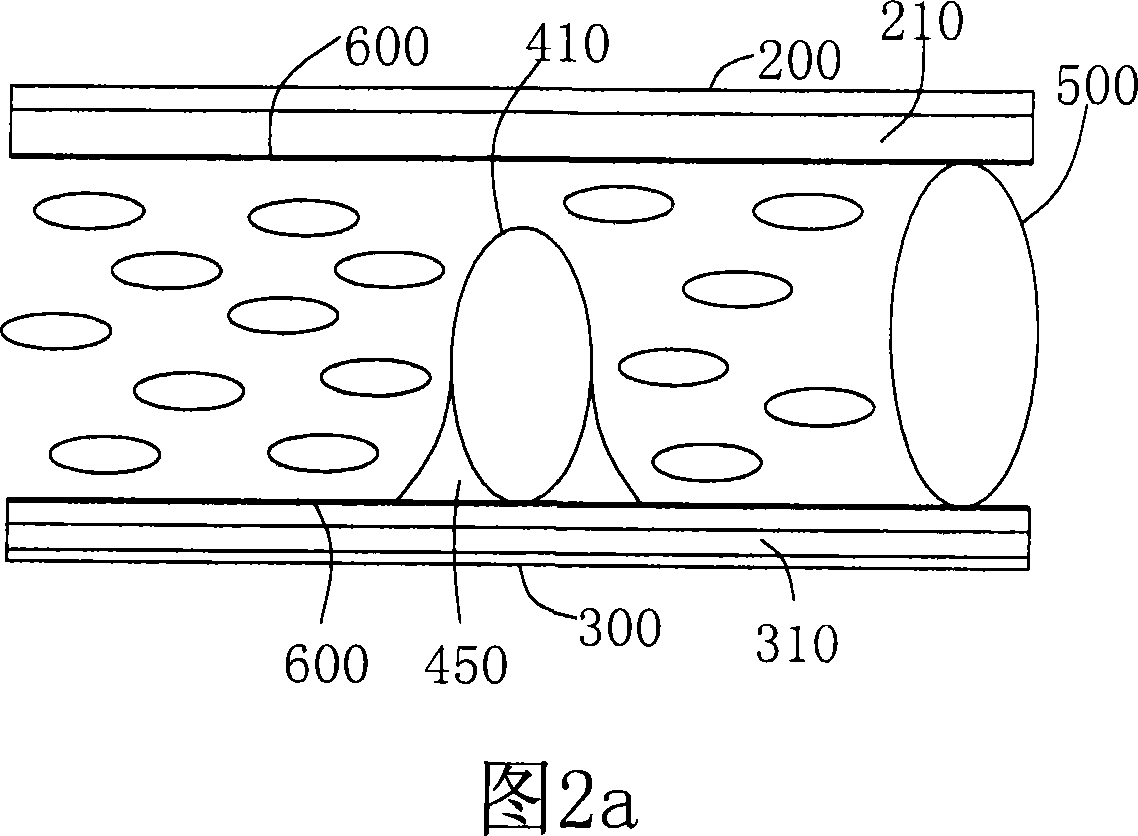Display device induction structure and producing method thereof