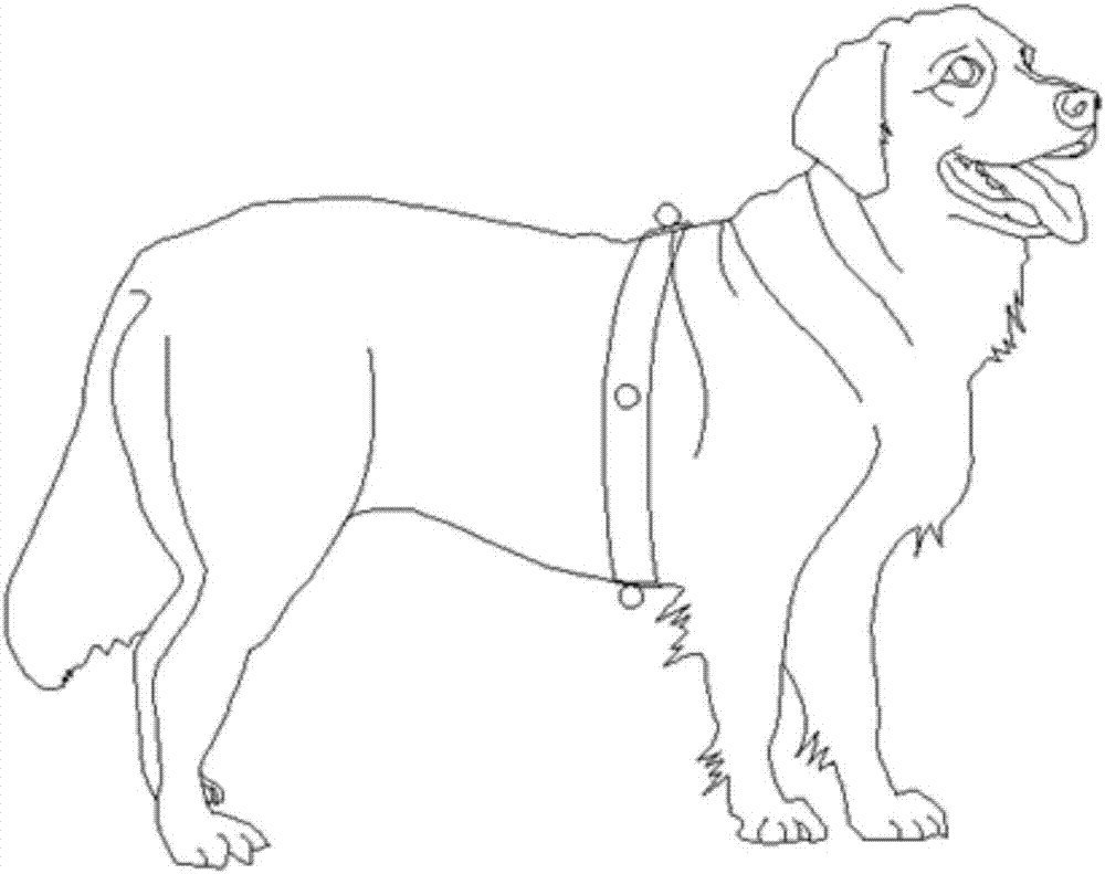 A method and device for detecting animal tail movement