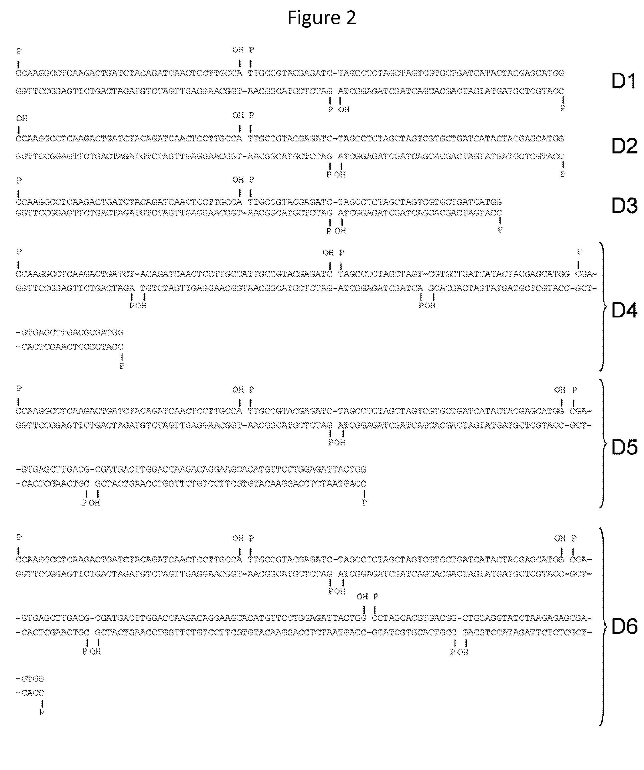 In vitro production of DNA minicircles comprising less than 250 base pairs