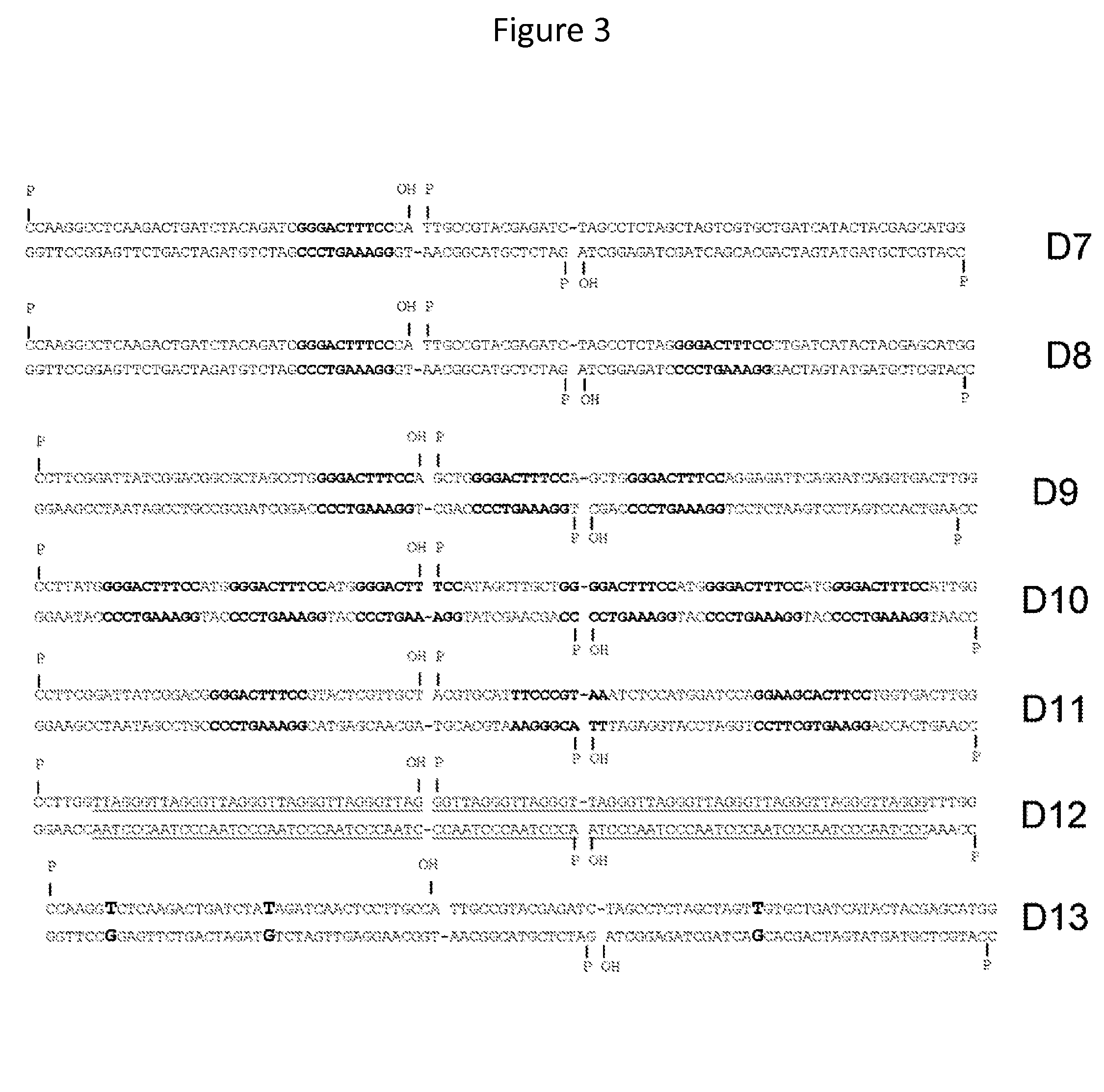 In vitro production of DNA minicircles comprising less than 250 base pairs