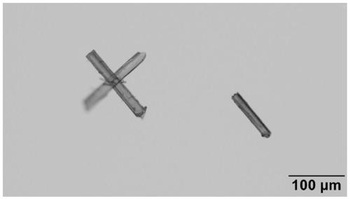 A crystallization method of phenylacetyl-7-amino-3-desacetoxycephalosporanic acid with controllable particle size and crystal habit