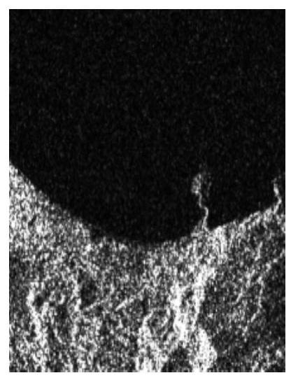 Coastline Detection Method in SAR Image