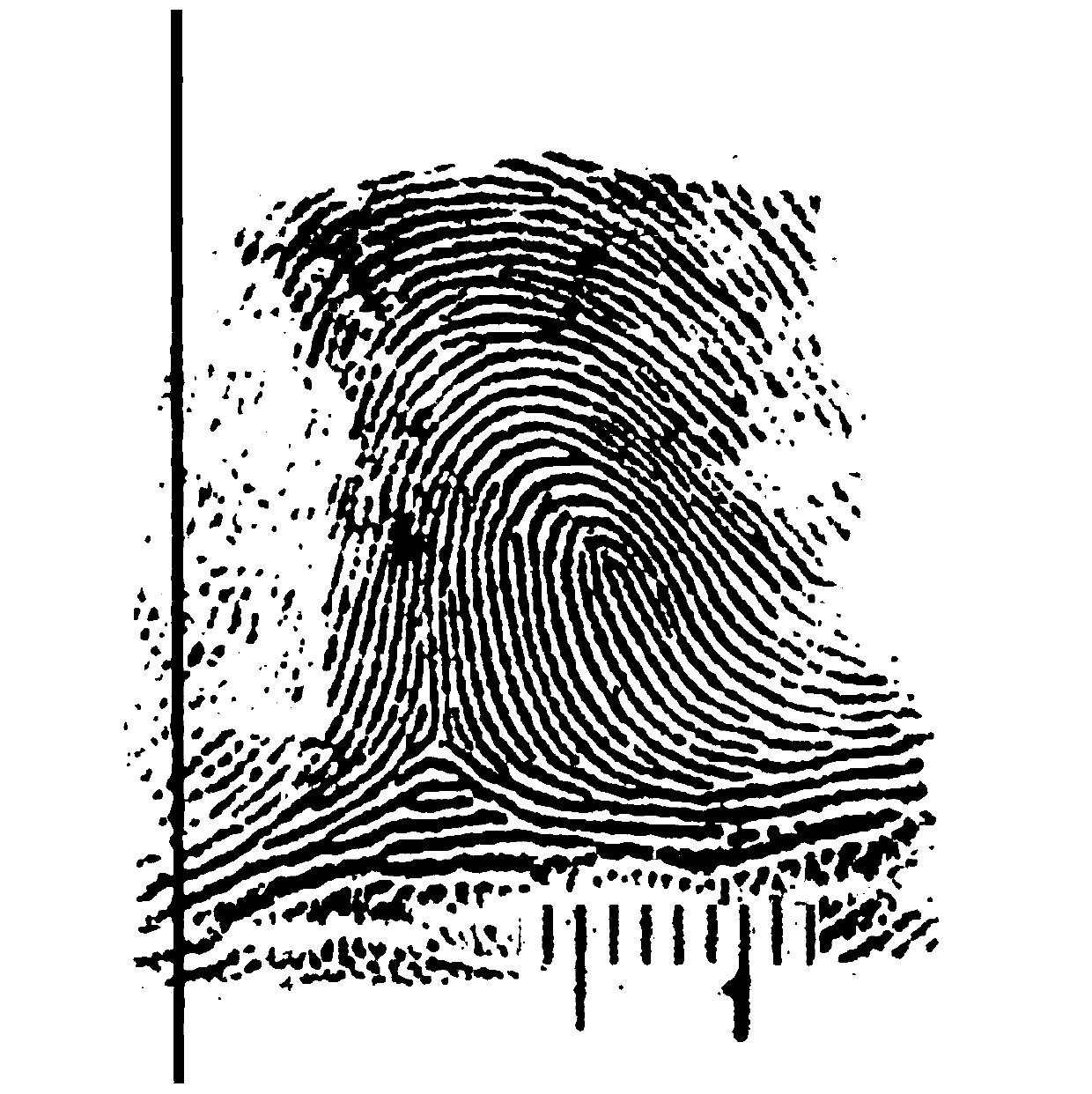 Method for quantitatively calculating fingerprint deformation