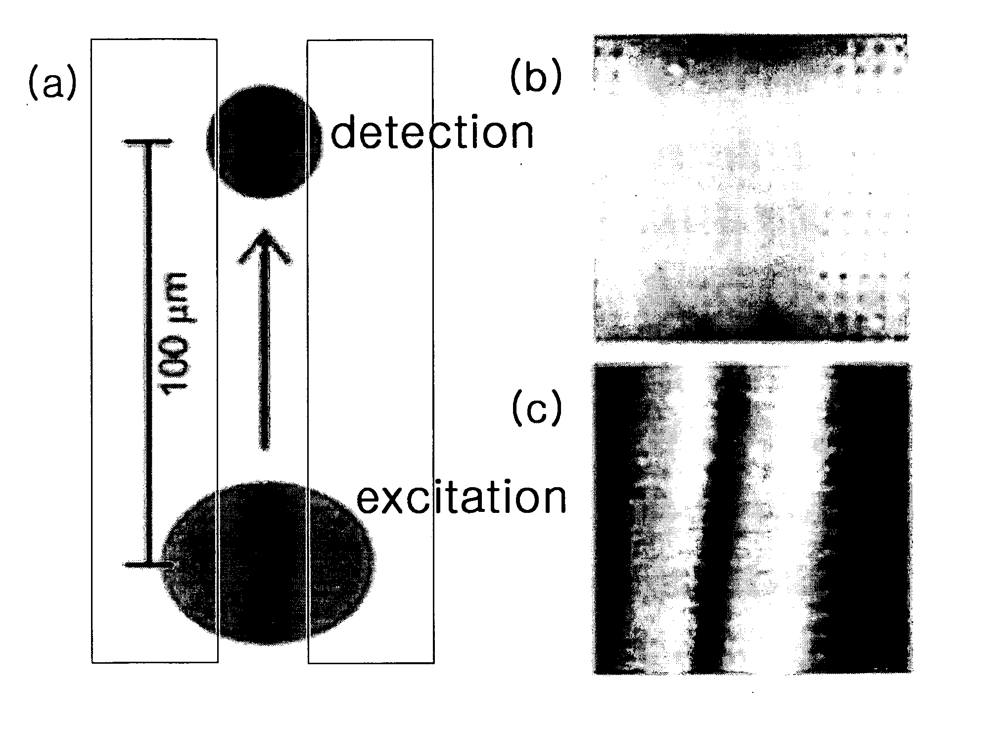 Surface plasmon optic devices and radiating surface plasmon sources for photolithography