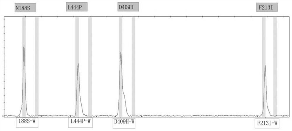 Glucocerebrosidase gene detection kit and detection method thereof