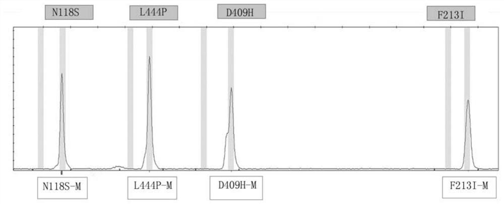 Glucocerebrosidase gene detection kit and detection method thereof