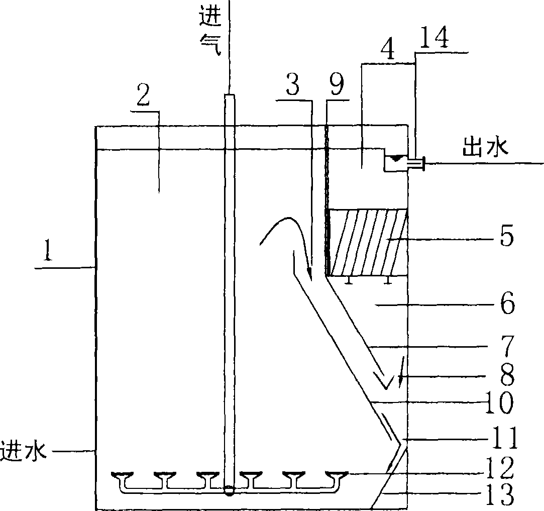 Biochemical treatment apparatus for wastewater treatment