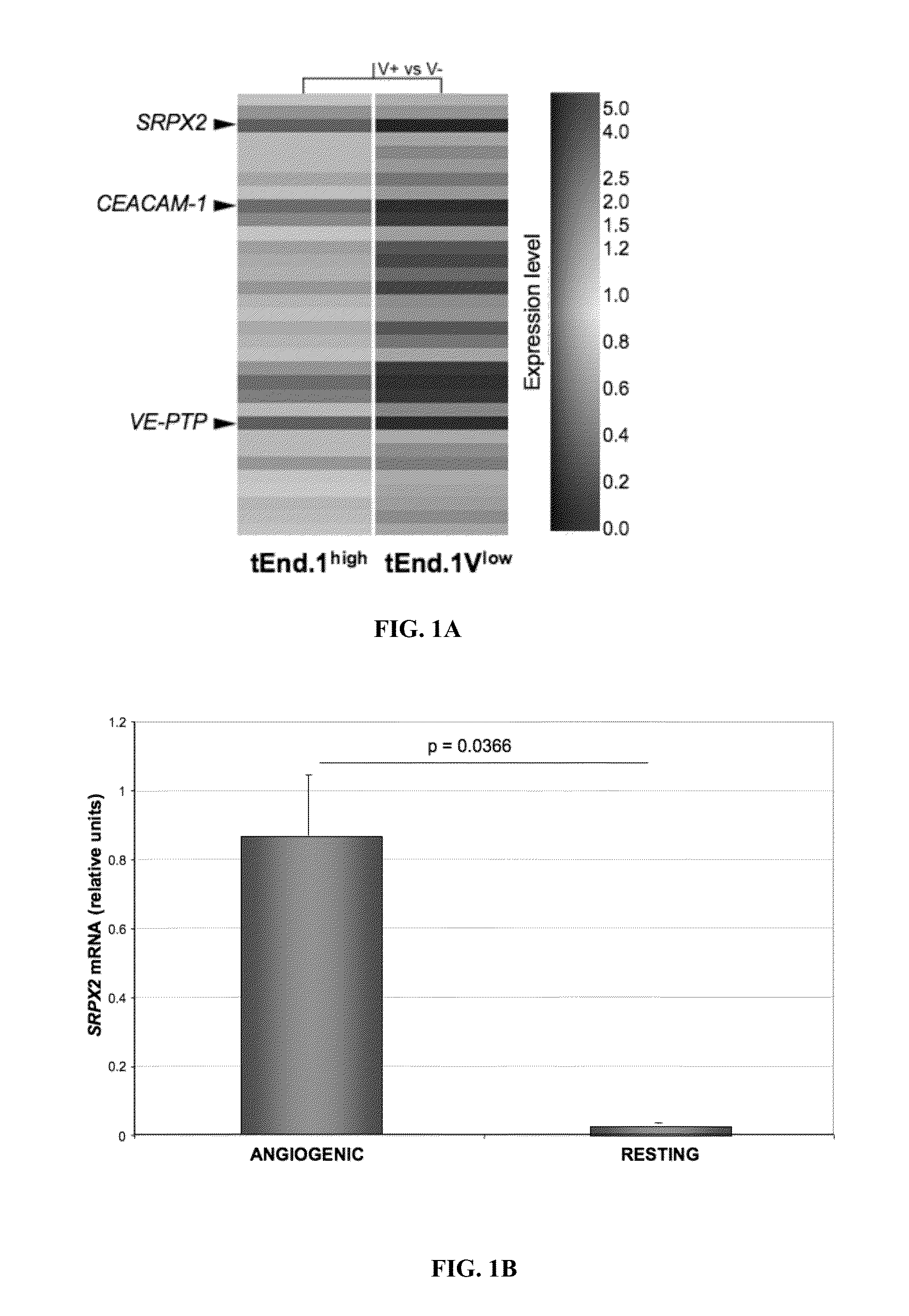 Modulation of srpx2-mediated angiogenesis