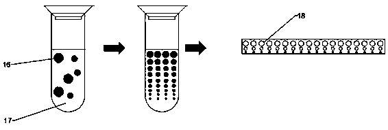 Polydimethylsiloxane film, flexible capacitive sensor and preparation method thereof