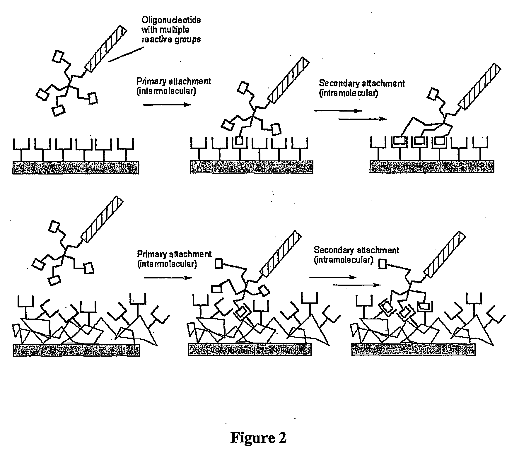 Biomolecules having multiple attachment moieties for binding to a substrate surface