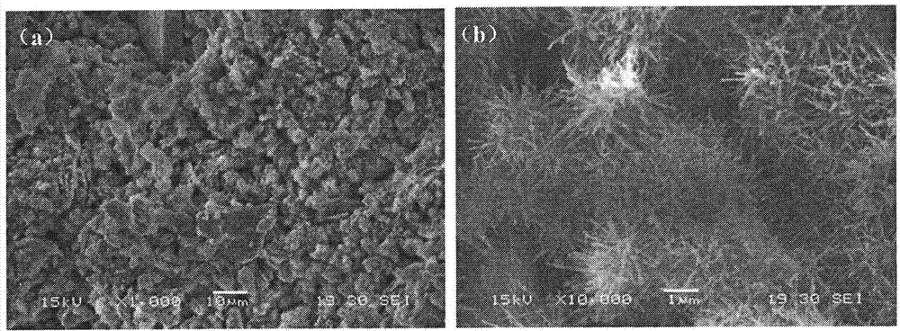 Calcium magnesium injectable bone cement and preparation method and application thereof