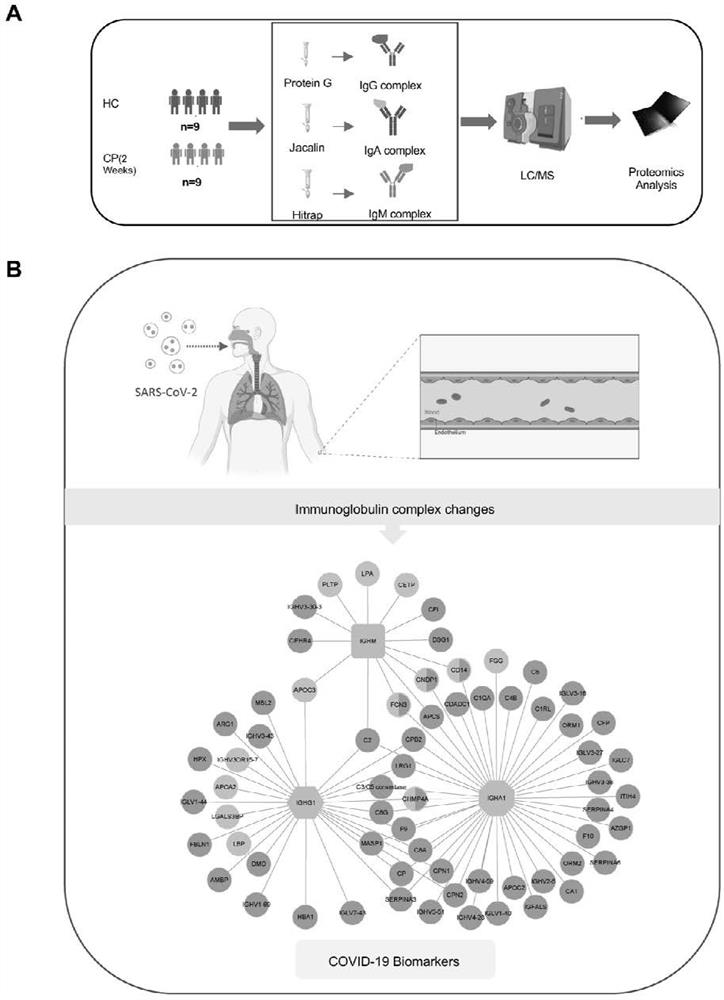 Screening method, application and kit for disease-related markers