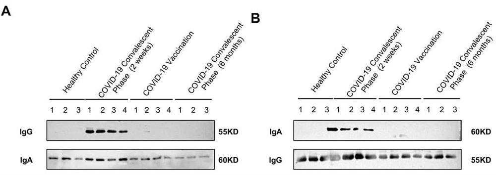 Screening method, application and kit for disease-related markers