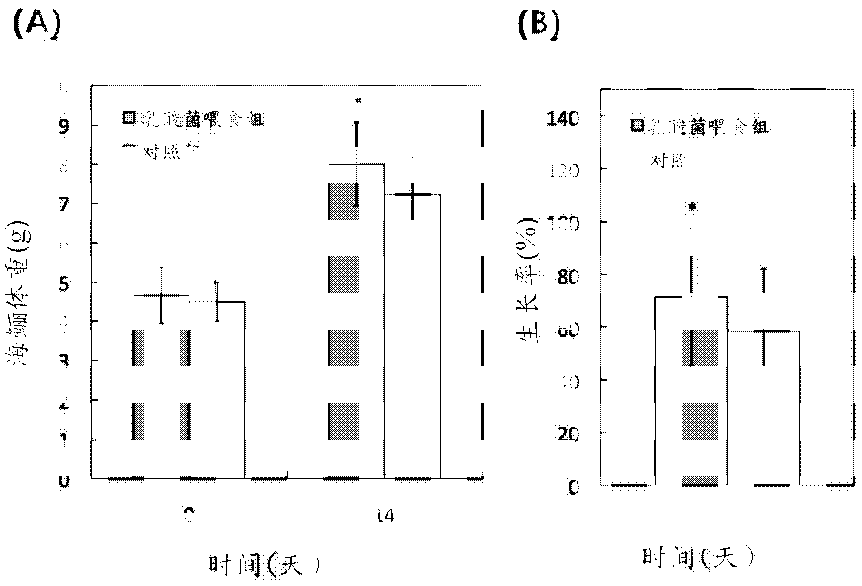 Novel lactic acid bacterial strain, composition containing same and use thereof
