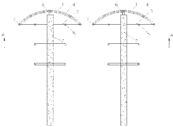 Method for high-density layered fruit bearing for grape cultivation in south